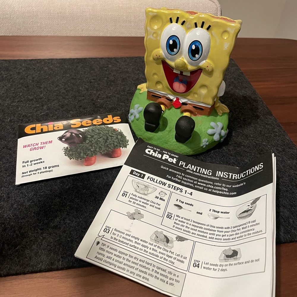 SpongeBob Chia Pet - with seeds and instructions